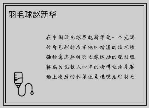 羽毛球赵新华