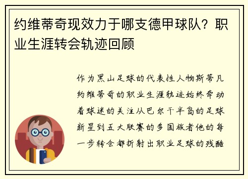 约维蒂奇现效力于哪支德甲球队？职业生涯转会轨迹回顾